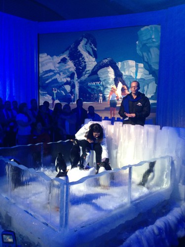The world of Antarctica will be built at @SeaWorld with "Orlando's most thrilling family adventure". 2013. Cold! #fb
