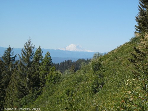 View froMt. Rainier from Teanaway Ridge, Okanogan-Wenatchee National Forest, Washington