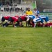 Rugby:  San Gregorio Catania Rugby , storico successo sul Rovigo