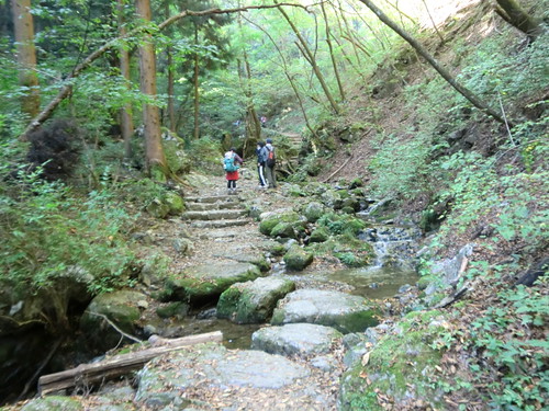 御岳山20111029-148
