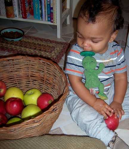 apples make good toys!