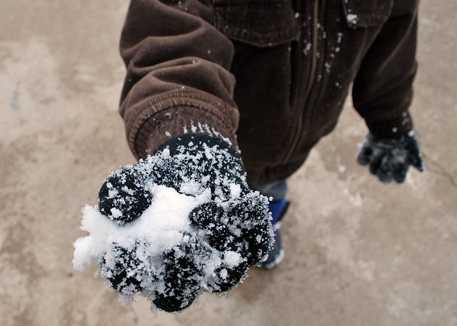 First Snow - Snowy Glove