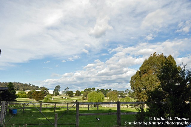 Clouds at Lysterfield Park