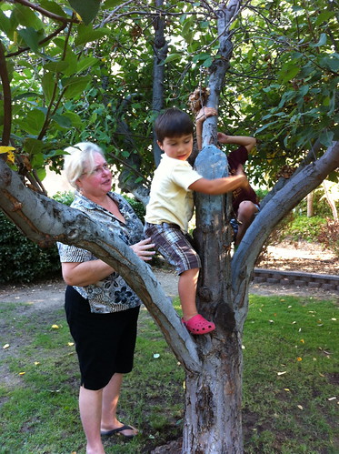 Jamma helps Finn up the tree