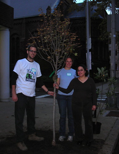 Tree Tenders Dan Brown, Stephanie Clymer, and Julie Slavet with a newly planted street tree.
