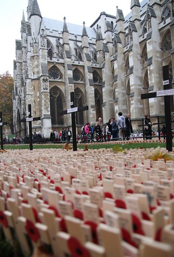 Westminster Abbey Field of Remembrance