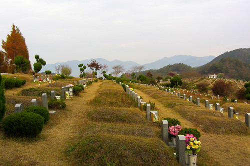 graveyard03