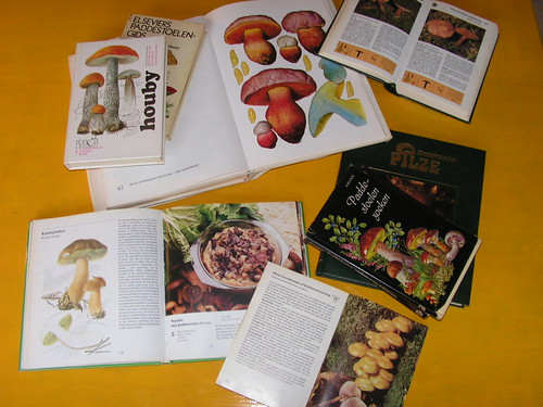 paddenstoelenboek