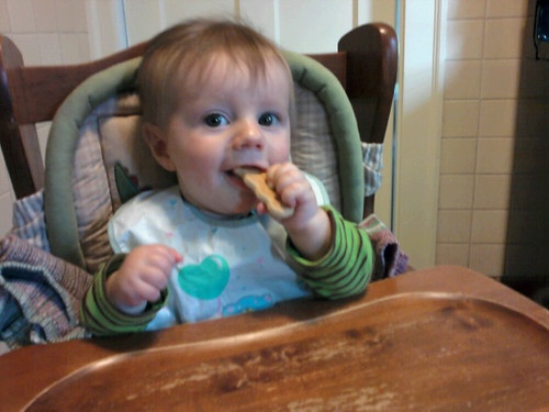 Yum!. A teething biscuit!