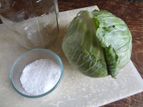 2011.10_cabbage plus salt equals sauerkraut
