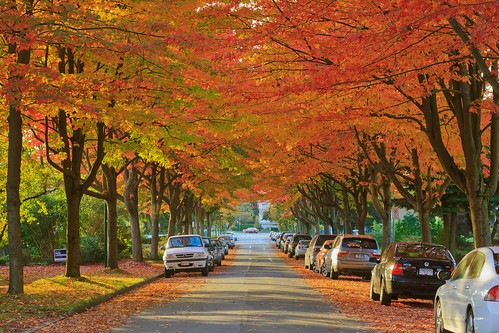 Autumn Color @ Vancouver by Chun@Vancouver