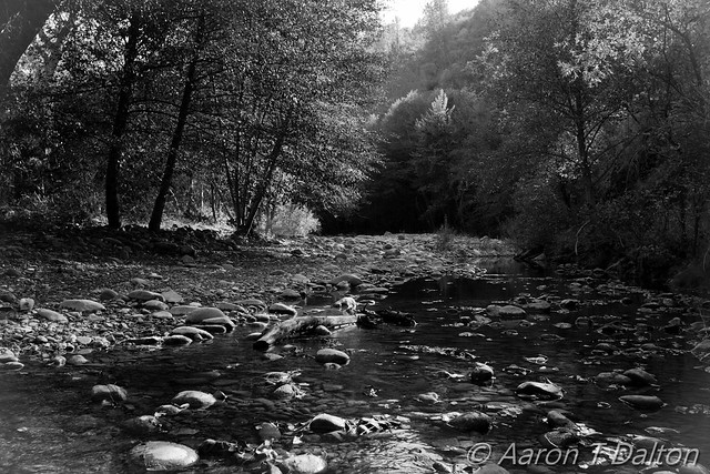 The Black and White Creek
