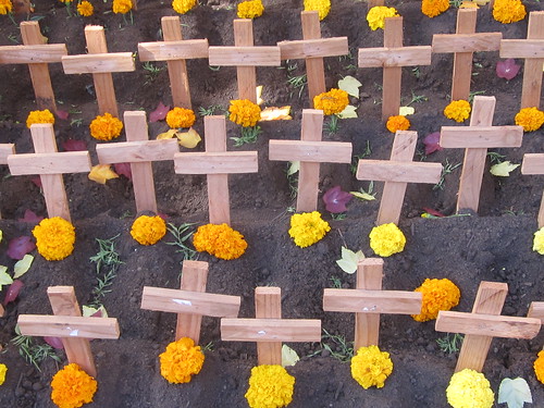 Wooden Crosses and Marigolds