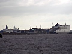P&O Terminal Hull