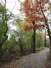 Fall (10-26-2011) Park Path