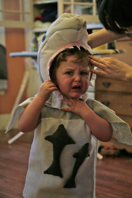 Shark costume fiasco.