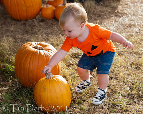 2011-10-19 - Pumpkin Patch-1