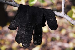 Lost Glove