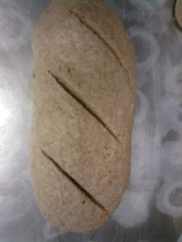 slashes on shaped loaf