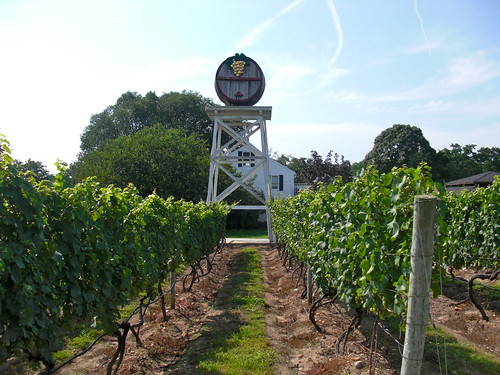 truro winery2