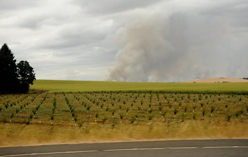 Planted fields, highway, trees, smoke from forest fire, central Oregon, USA by Wonderlane