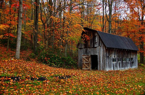Autumn Country Barn by ForestGladesiWander
