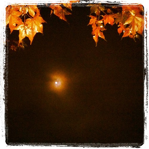 [313/365] Autumn Moon by goaliej54