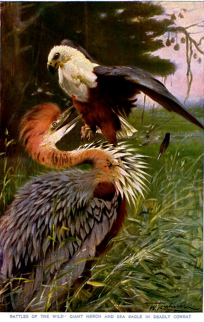 Giant Heron and Sea Eagle (1910)