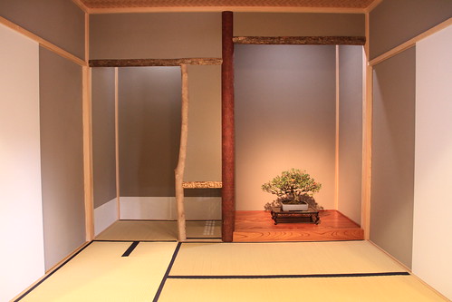 長寿梅 - Choju-bai (Mauls quince) - 盆栽美術館 - bonsai museum