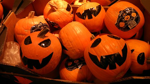 Seasonal Pumpkins  by Rollofunk