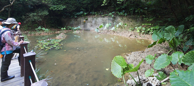 富陽生態公園的水池
