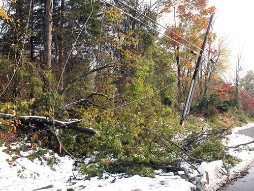 trees and powerlines down: Snowstorm of October 2011, New Jersey