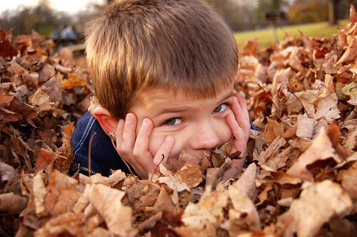 Harrison Playing In The Leaves