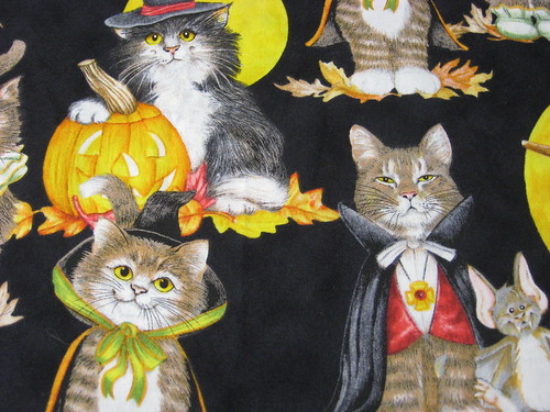 Costumed Kitties
