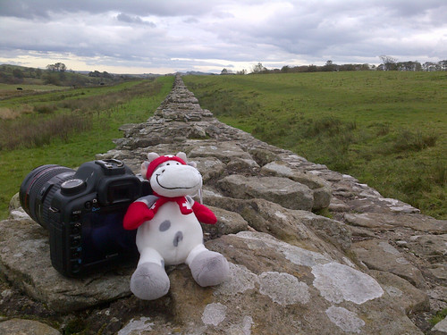 Cowzen at Hadrian's wall.