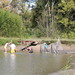 Catfish Pond Seine 2011