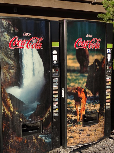 YellowStone : Coca-Cola by St James Gate