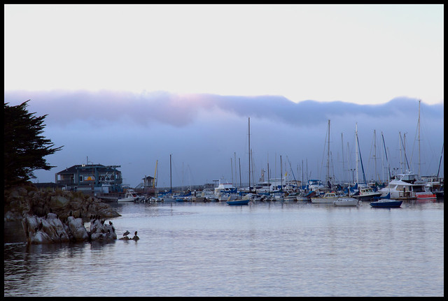 fog rolling in over Monterey