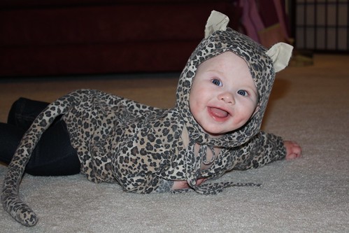 Lucy the baby leopard