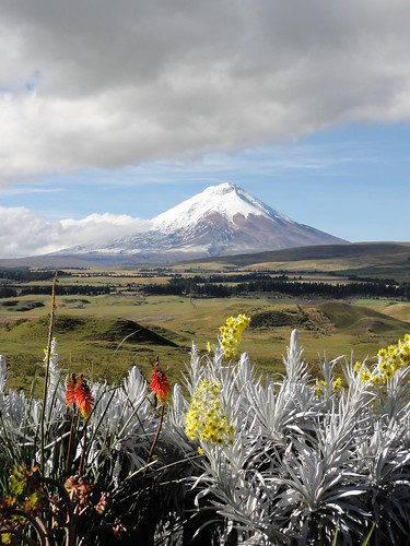 View over Cotopaxi from the garden