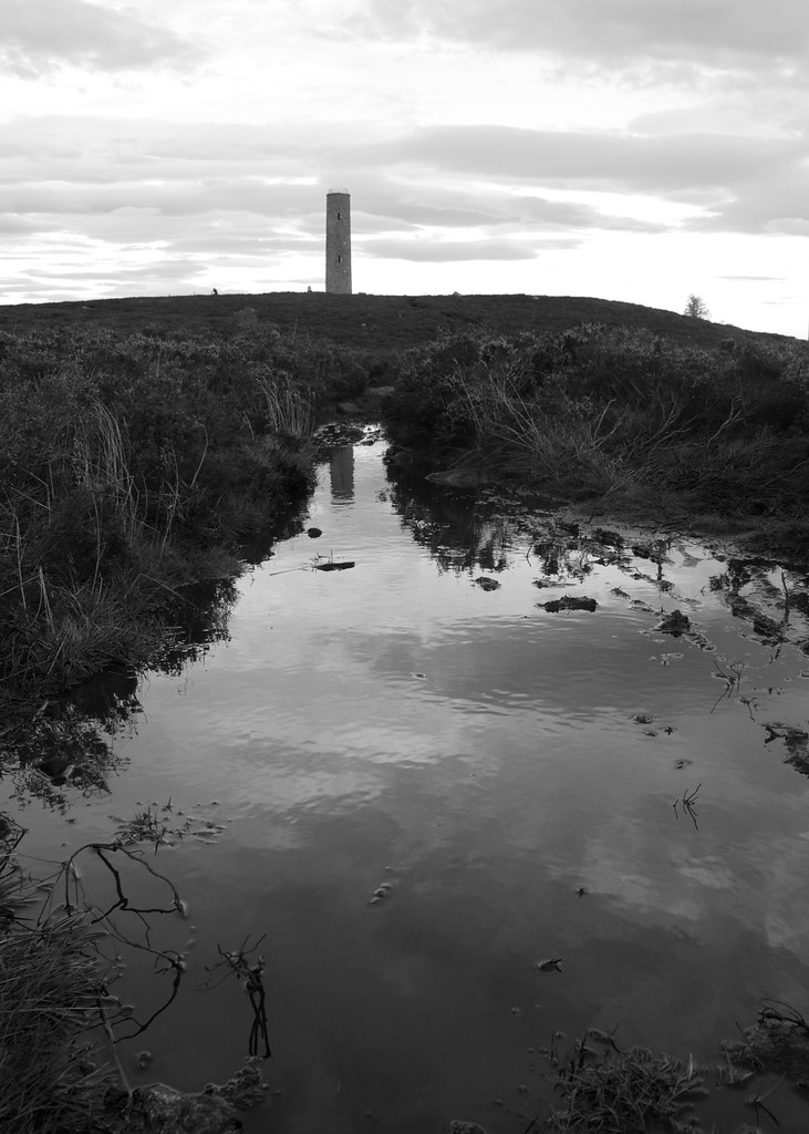 Scolty tower reflected