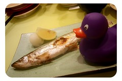 小鴨與小黃瓜魚