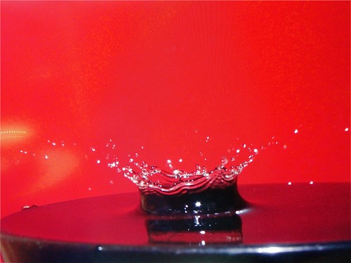 Gota de Agua- Exhibición en el Exploratorium