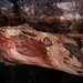 Aboriginal Rock Art, Kakadu • <a style="font-size:0.8em;" href="https://www.flickr.com/photos/40181681@N02/5928183311/" target="_blank">View on Flickr</a>