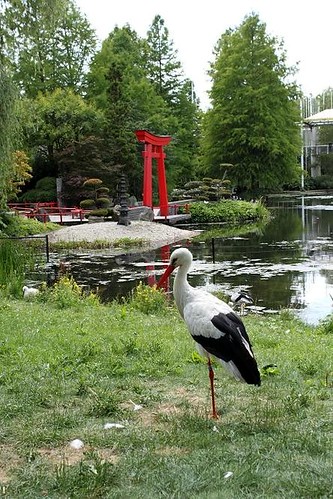 stork with in the background the japanese garden