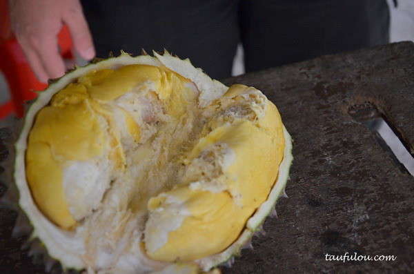 balik pulau durian (6)