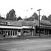 A&P, Atlanta, 1952