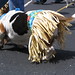 Hula Dog • <a style="font-size:0.8em;" href="http://www.flickr.com/photos/26088968@N02/5990677154/" target="_blank">View on Flickr</a>