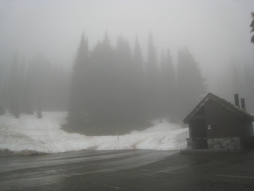 Tipsoo Parking Lot in the fog