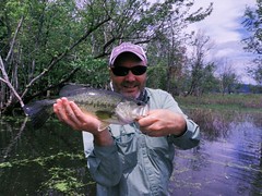 Champlain Bass